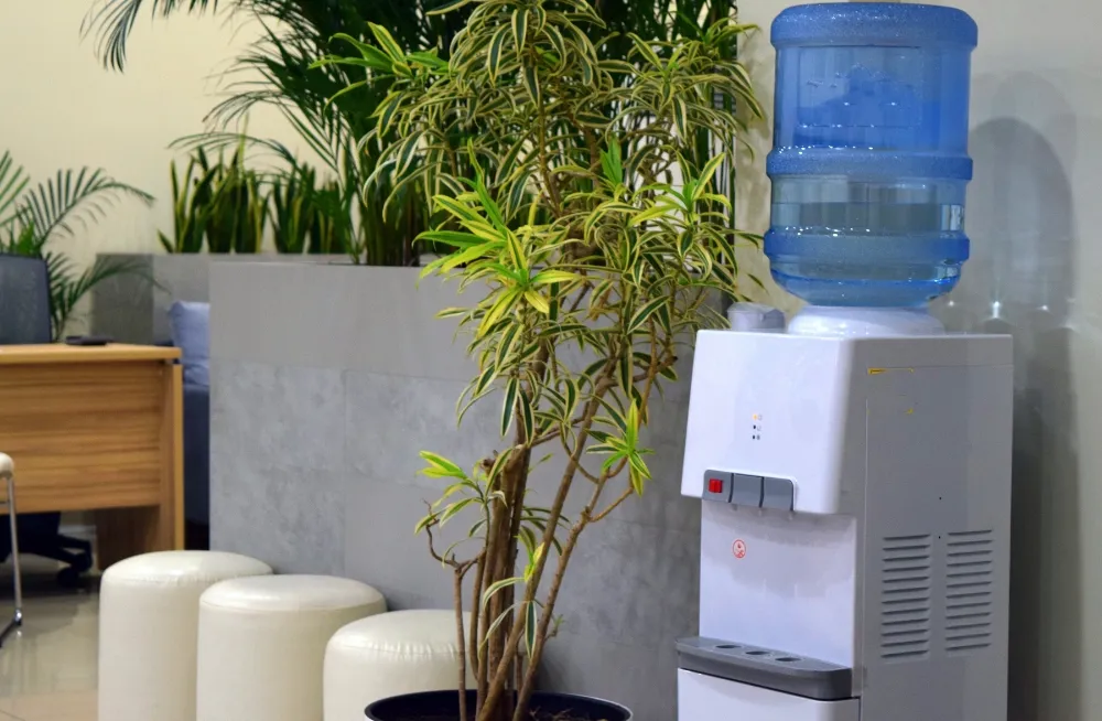 Water Dispenser Repair in Dubai offices