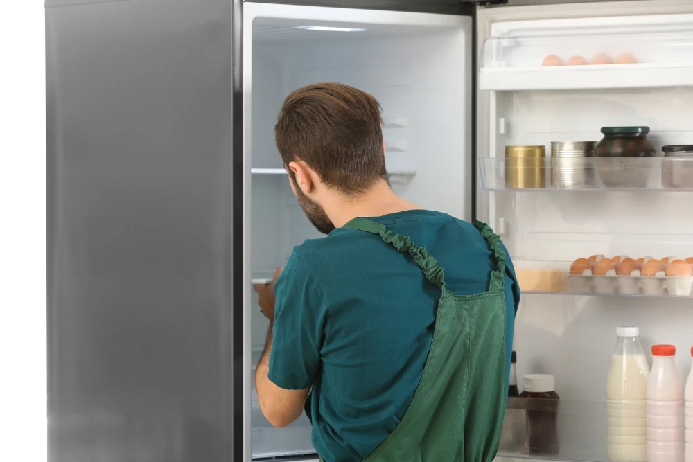 Complete refrigerator repair and cooling system maintenance